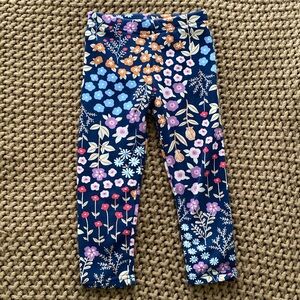 3T Carters fuzzy floral legging